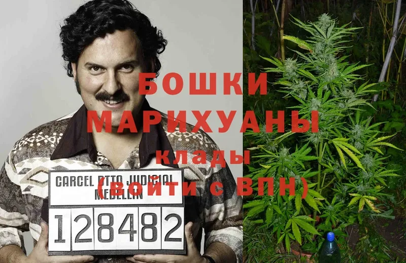 darknet наркотические препараты  Грайворон  Шишки марихуана Bruce Banner 